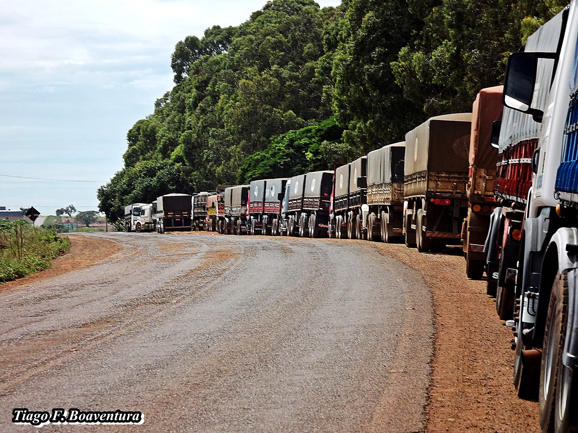 Longa fila de caminhões graneleiros carregados de soja parados no acostamento de uma estrada, aguardando a vez de descarregar