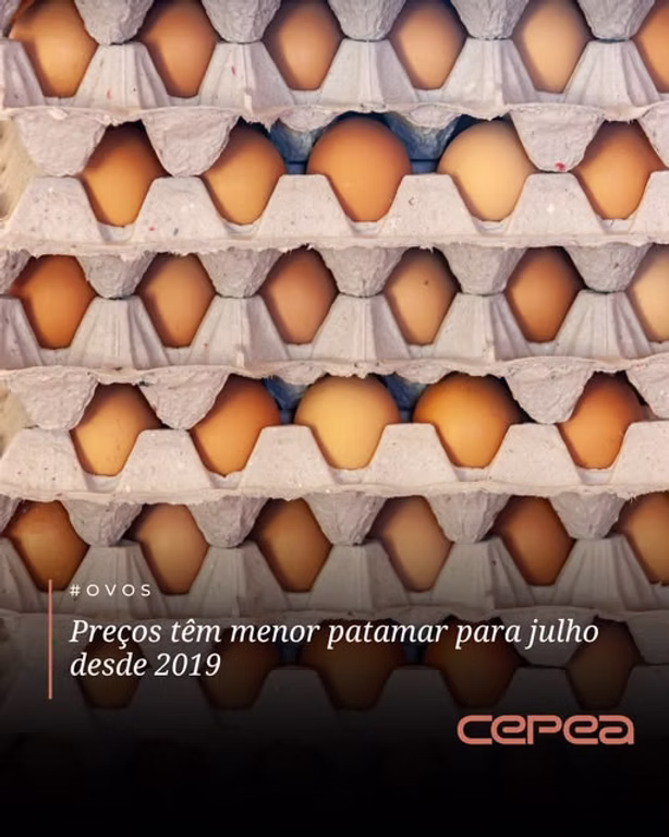 Cepea, Centro de Estudos Avançados em Economia Aplicada da Esalq/USP, fonte das cotações de ovo usadas nesta aula