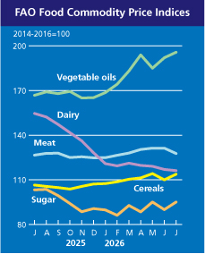 Gráfico FAO com os cinco subíndices de commodities: óleos vegetais, laticínios, carnes, cereais e açúcar, 2025-2026