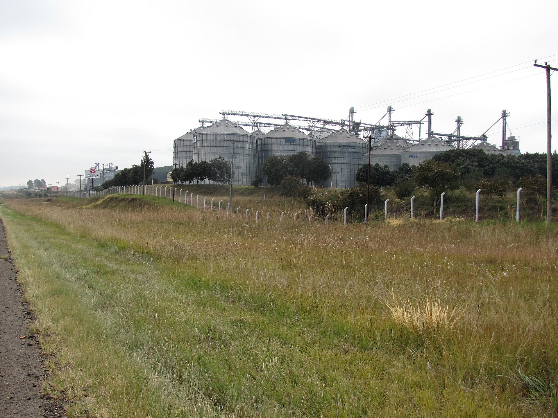 Bateria de silos metálicos de armazenagem de grãos com correias transportadoras elevadas, à beira de uma estrada no interior do Rio Grande do Sul