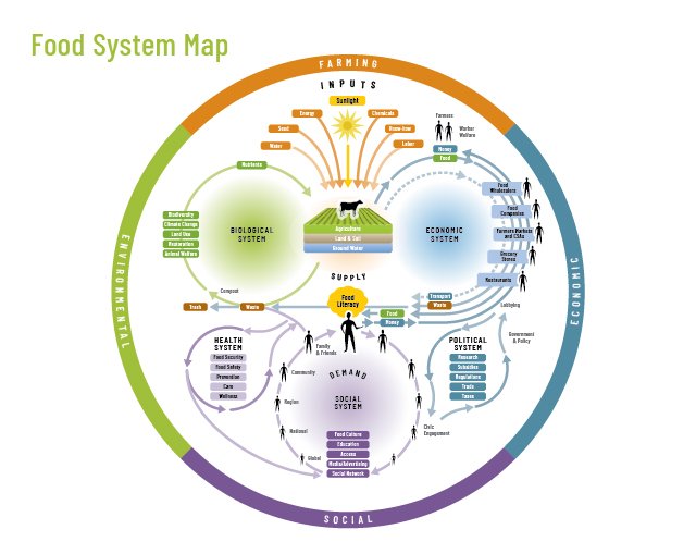 Diagrama circular de um sistema alimentar, com os sistemas biológico, econômico, de saúde, político e social organizados ao redor de um núcleo de produção agrícola e consumo, conectados por entradas e saídas