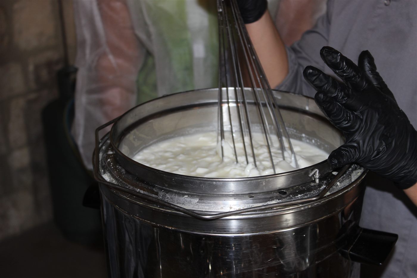 Processamento artesanal de ricota, leite coagulado sendo mexido num tacho