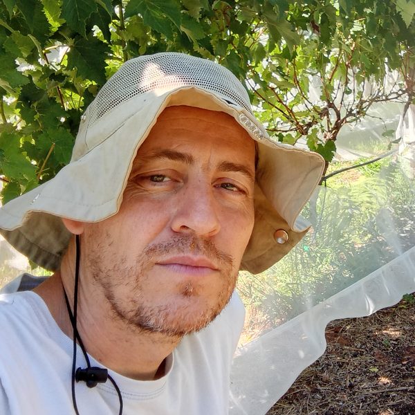 Róberson Macedo de Oliveira num parreiral com tela de proteção